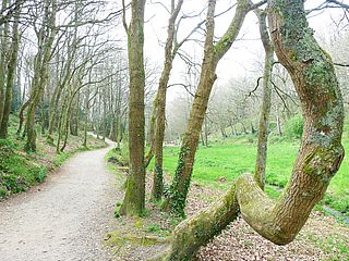 Photo du vallon du Stangalard